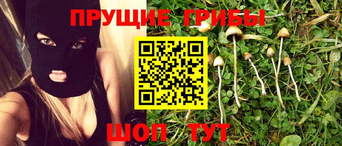 купить   Галлюциногенные грибы Magic Shrooms  Псилоцибиновые грибы Psilocybine cubensis  Вход с VPN  Усть-Илимск 